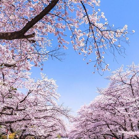 Hotel Owl Tokyo Nippori Eksteriør billede
