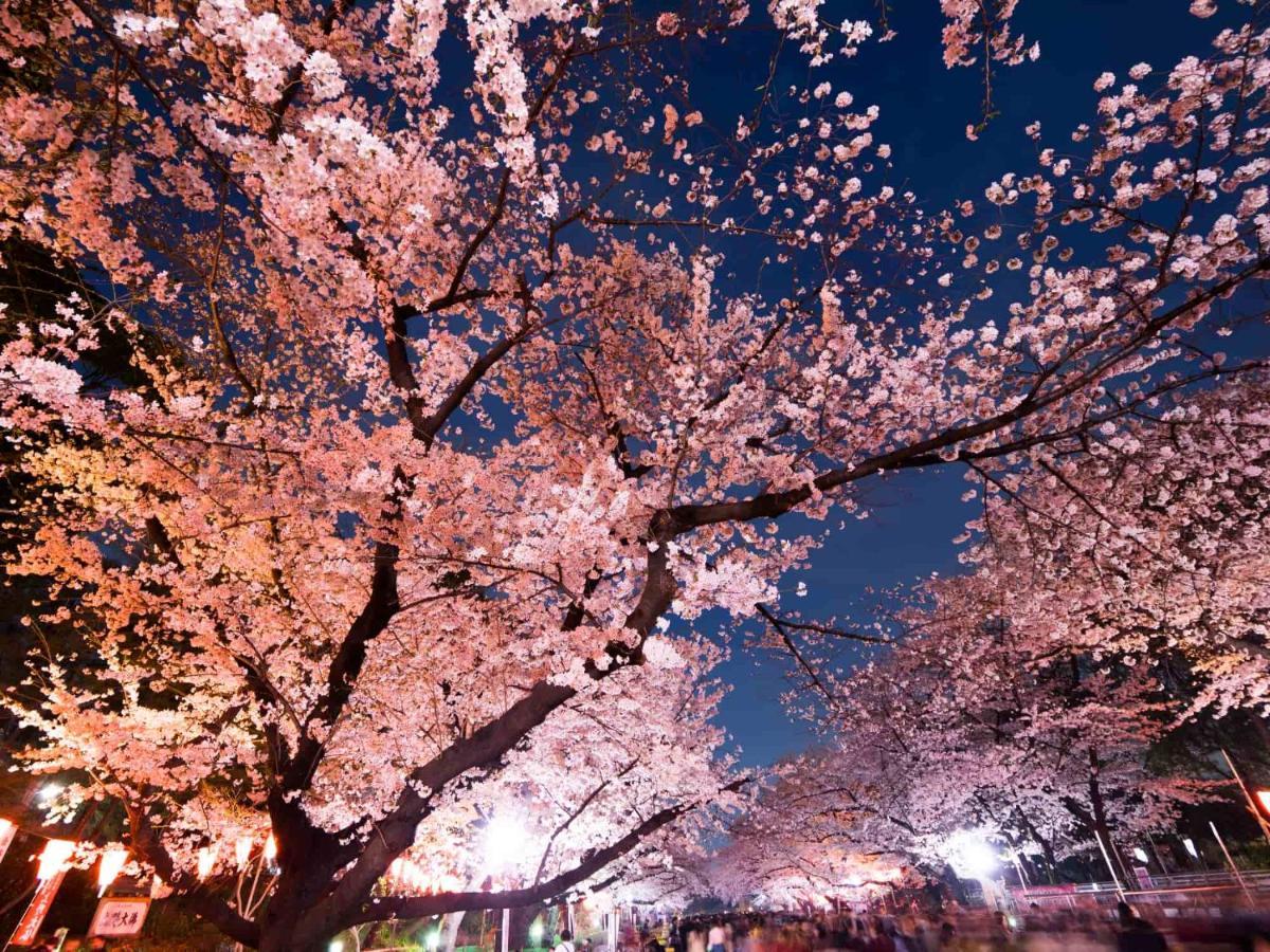 Hotel Owl Tokyo Nippori Eksteriør billede