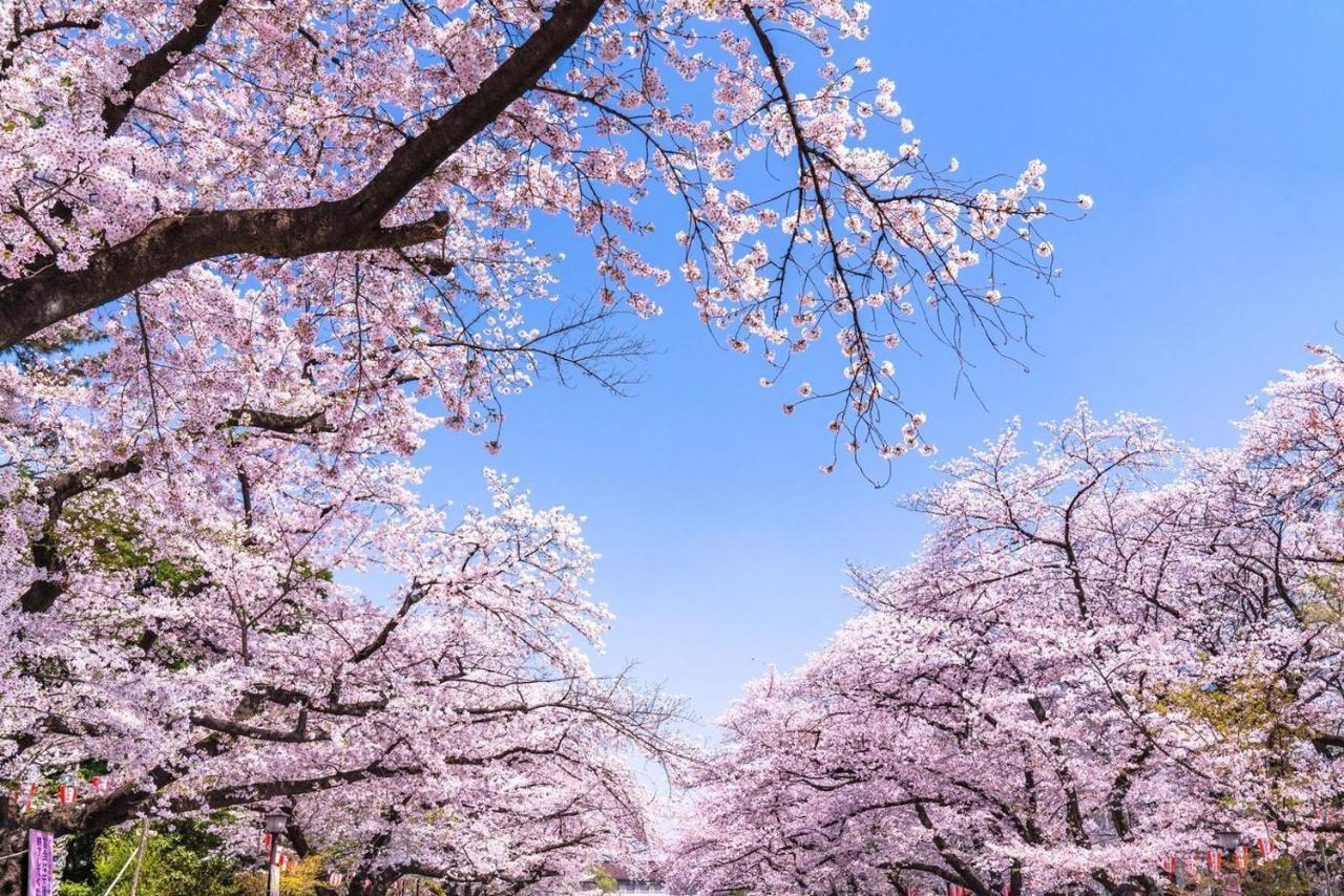 Hotel Owl Tokyo Nippori Eksteriør billede